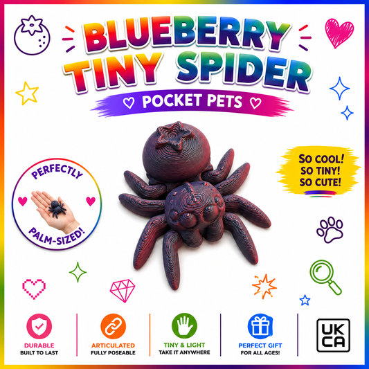 Blueberry Tiny Spider